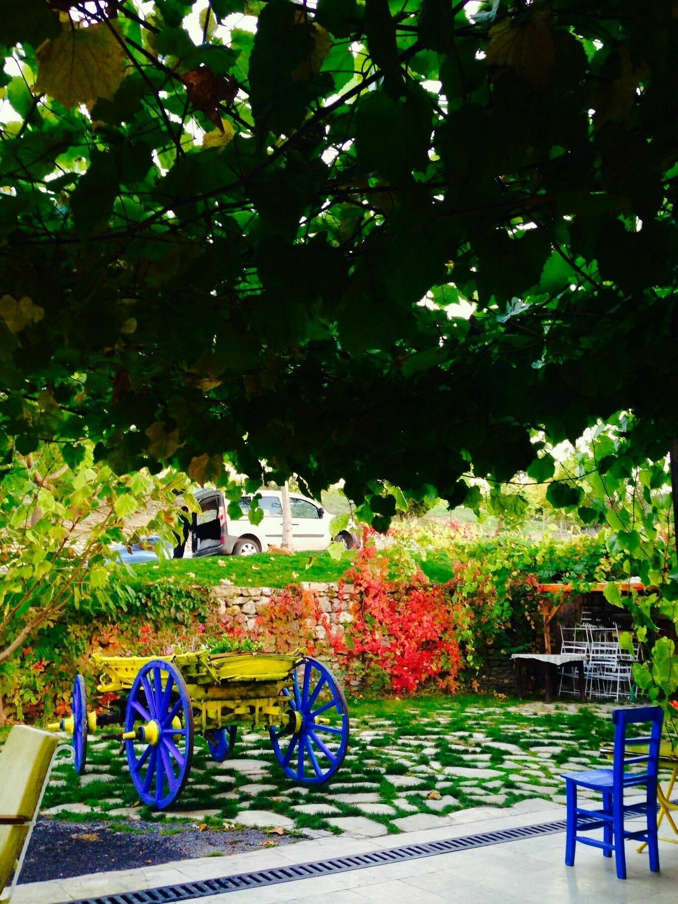 Yeni Konak Hotel Safranbolu Extérieur photo